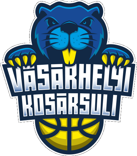 Vásárhelyi Kosársuli